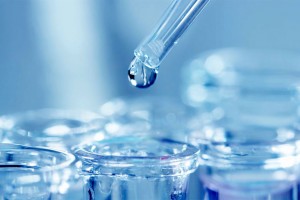 Carburant de synth&egrave;se : Verso Energy pose ses bases en Normandie