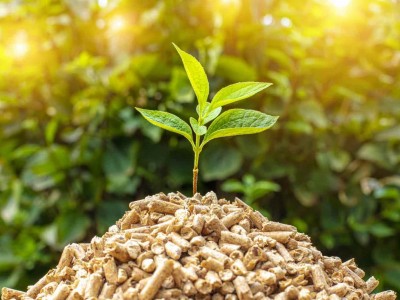 Elobio : quand la biomasse sert &agrave; produire de l'hydrog&egrave;ne
