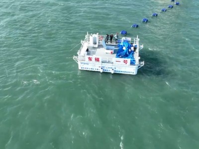 Ils produisent de l'hydrogène vert à partir de l'eau de mer