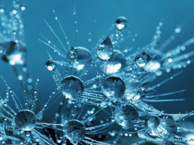 Nomade : un r&eacute;servoir &agrave; hydrog&egrave;ne liquide d&eacute;di&eacute; aux transports