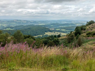 Hydrog&egrave;ne naturel en Lorraine : la population invit&eacute;e &agrave; se prononcer