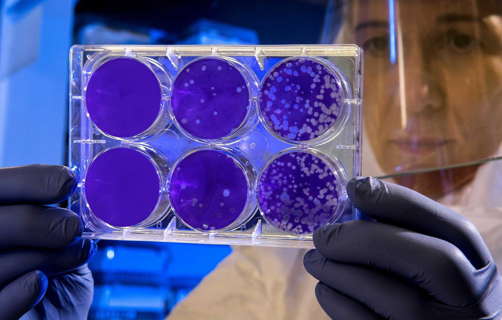 Grâce aux bactéries, ces chercheurs veulent produire de l'hydrogène vert à moindre coût