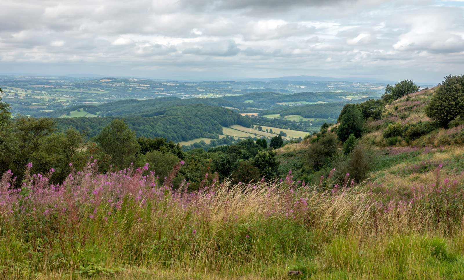Hydrogène naturel en Lorraine : la population invitée à se prononcer
